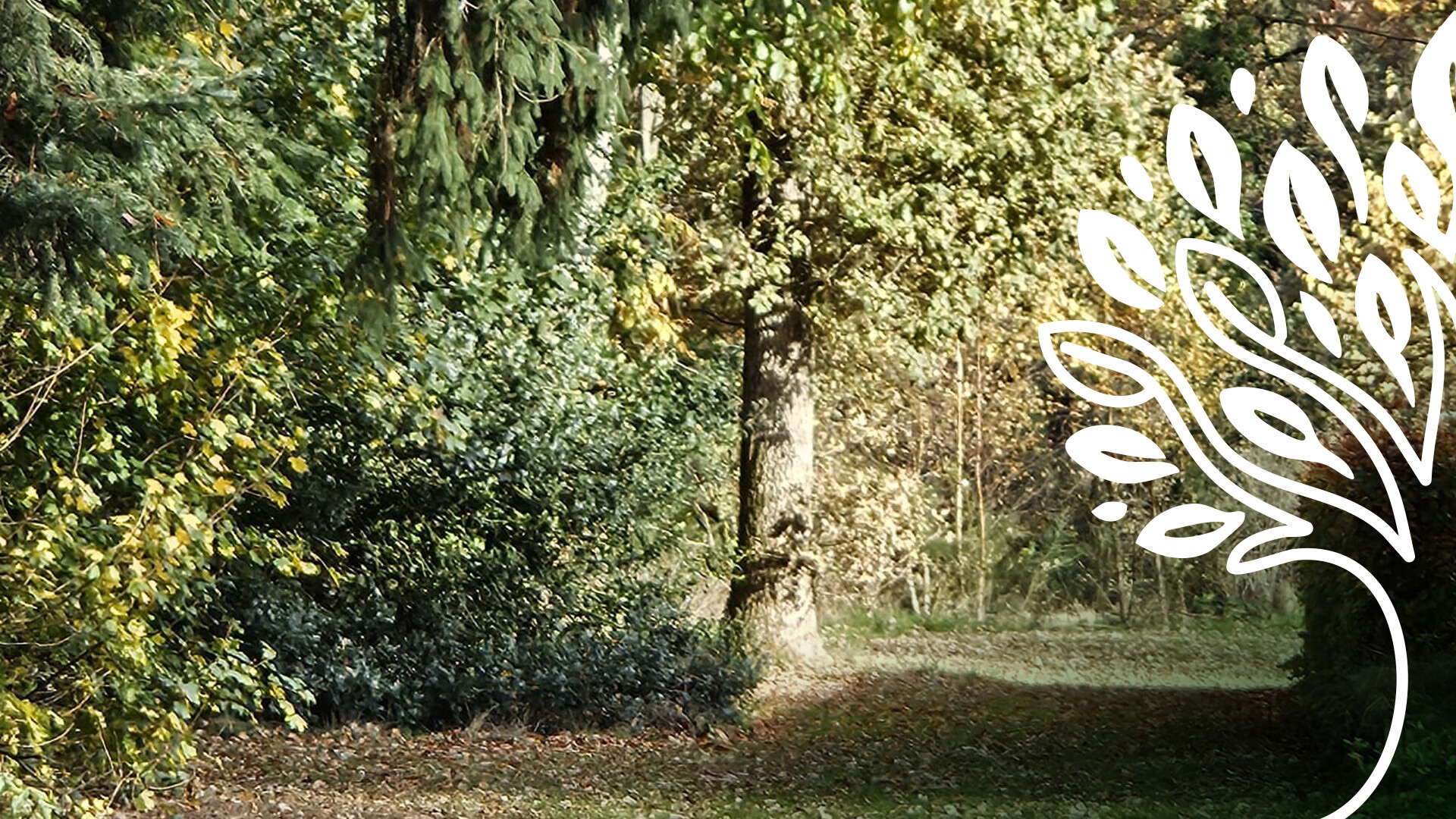 Banner bewerkt 3