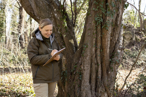 Close up park ranger woods
