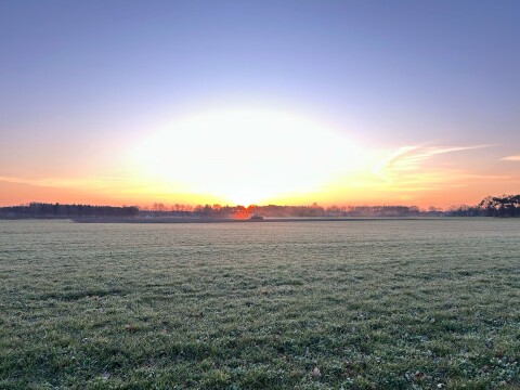 Zonviering